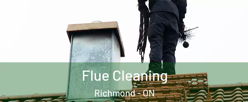  Flue Cleaning Richmond - ON