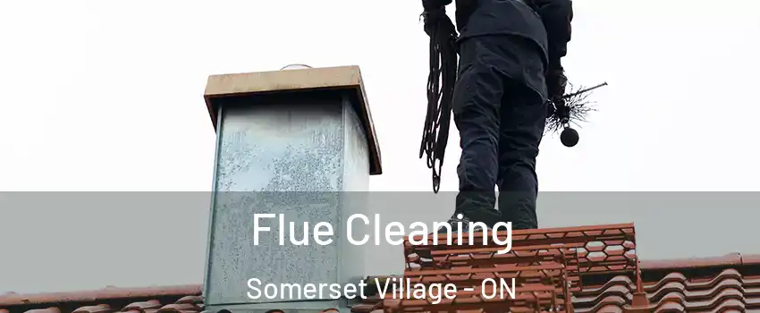  Flue Cleaning Somerset Village - ON