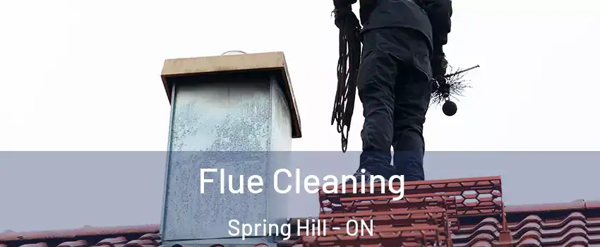  Flue Cleaning Spring Hill - ON