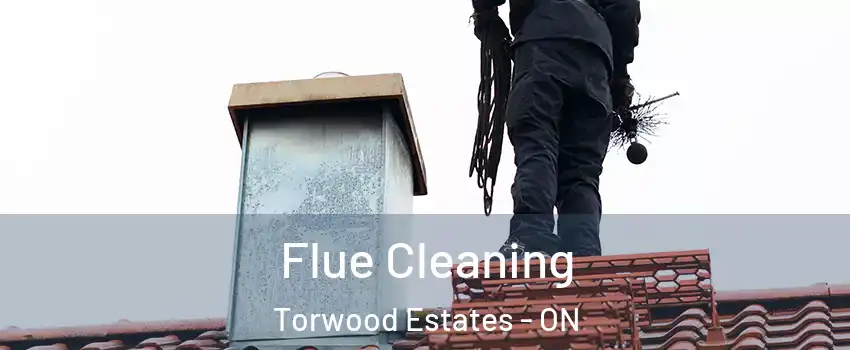  Flue Cleaning Torwood Estates - ON