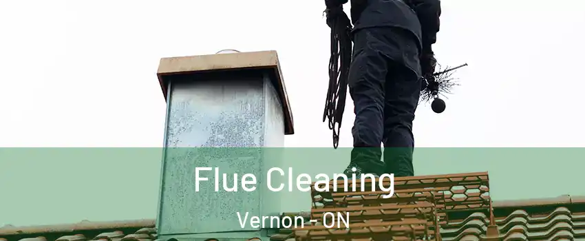  Flue Cleaning Vernon - ON