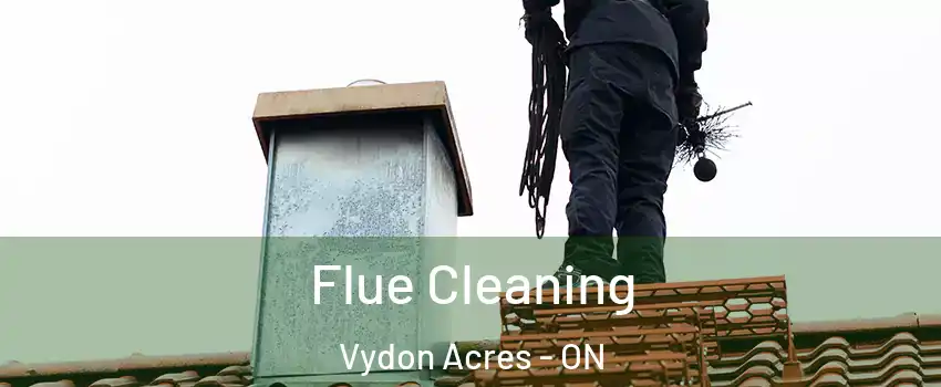  Flue Cleaning Vydon Acres - ON