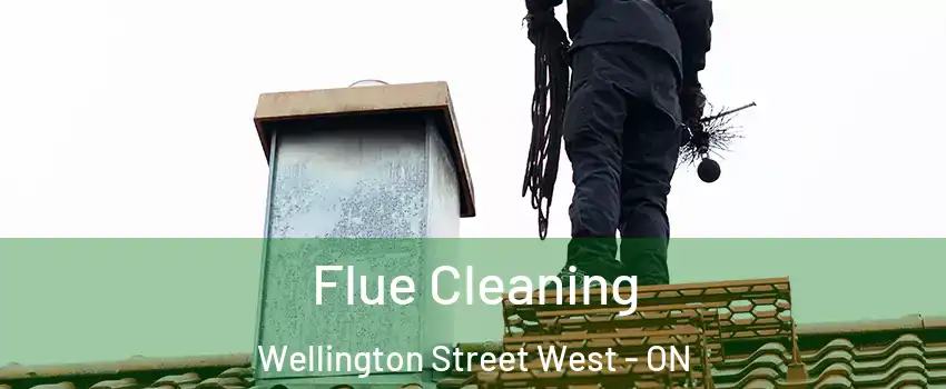  Flue Cleaning Wellington Street West - ON