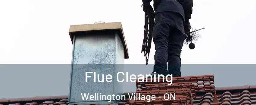  Flue Cleaning Wellington Village - ON