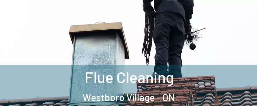  Flue Cleaning Westboro Village - ON