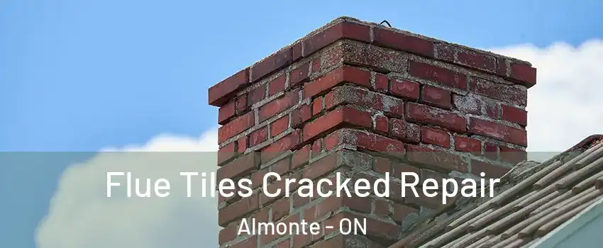  Flue Tiles Cracked Repair Almonte - ON