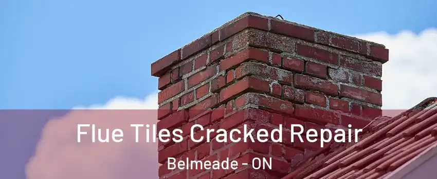  Flue Tiles Cracked Repair Belmeade - ON