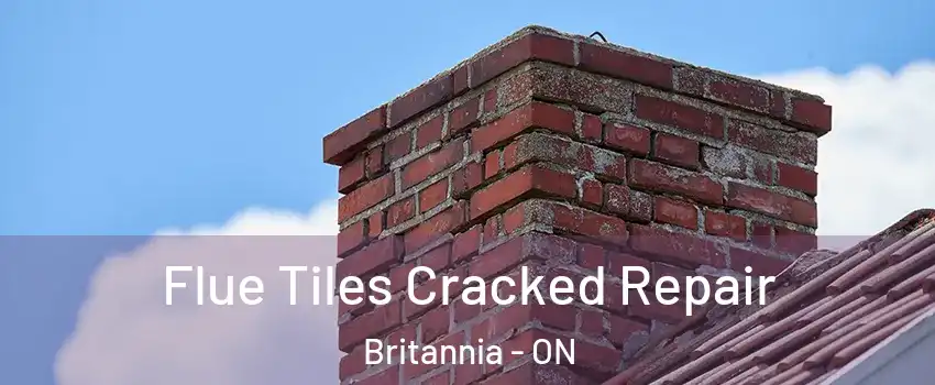  Flue Tiles Cracked Repair Britannia - ON