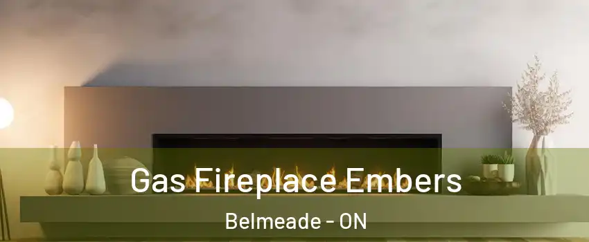  Gas Fireplace Embers Belmeade - ON