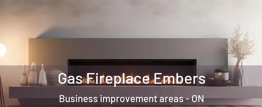  Gas Fireplace Embers Business improvement areas - ON