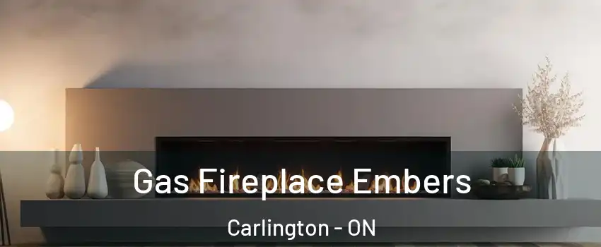  Gas Fireplace Embers Carlington - ON