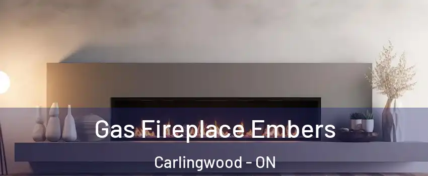  Gas Fireplace Embers Carlingwood - ON