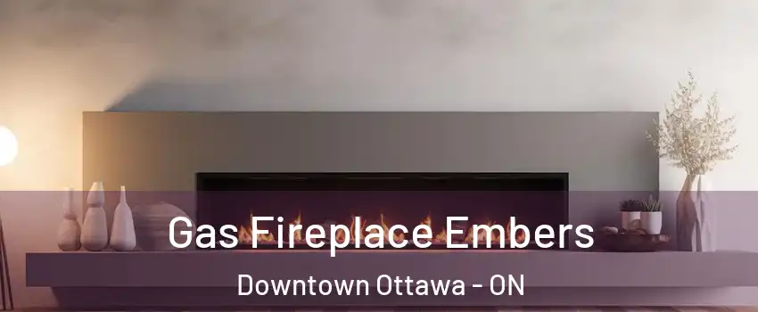  Gas Fireplace Embers Downtown Ottawa - ON