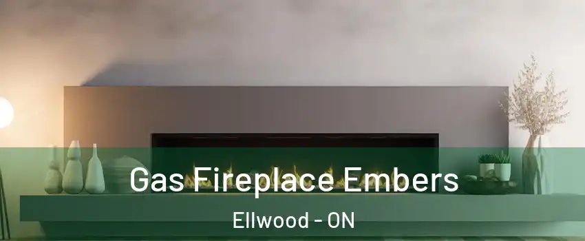  Gas Fireplace Embers Ellwood - ON