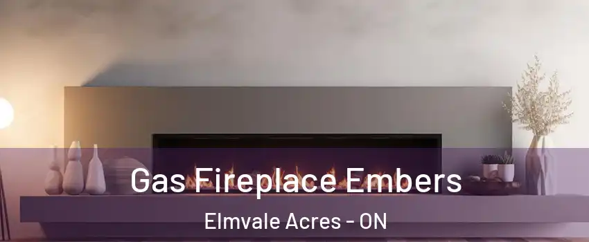  Gas Fireplace Embers Elmvale Acres - ON