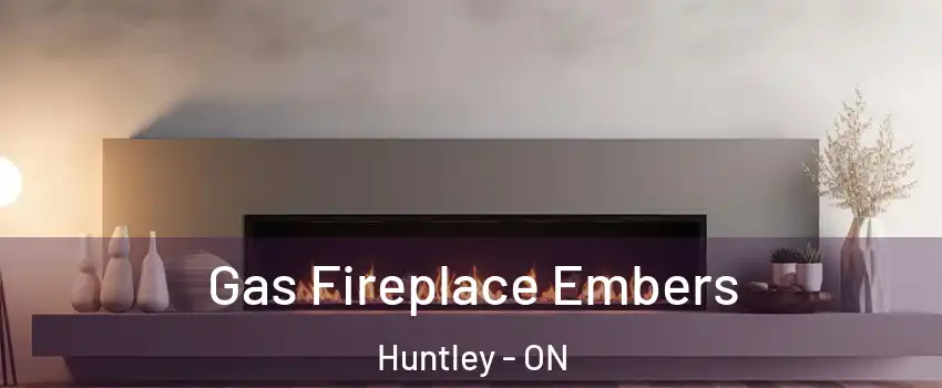  Gas Fireplace Embers Huntley - ON