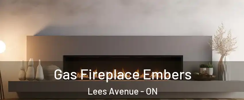  Gas Fireplace Embers Lees Avenue - ON