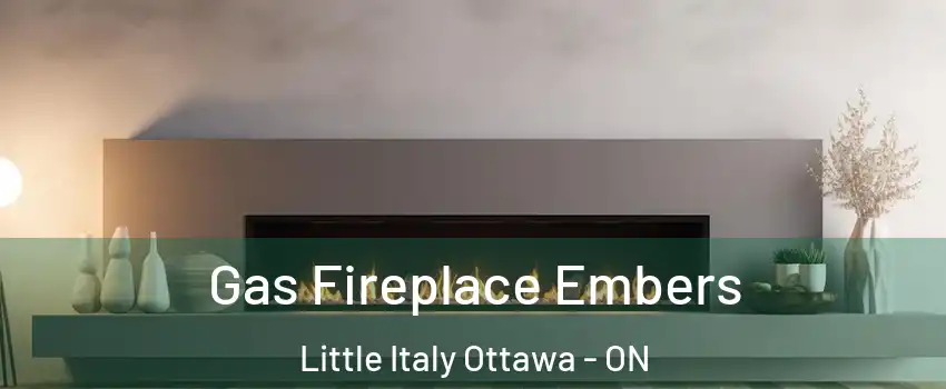  Gas Fireplace Embers Little Italy Ottawa - ON