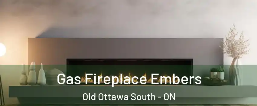  Gas Fireplace Embers Old Ottawa South - ON