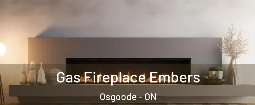  Gas Fireplace Embers Osgoode - ON