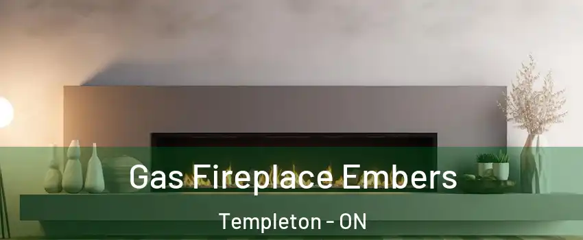  Gas Fireplace Embers Templeton - ON