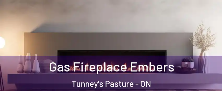  Gas Fireplace Embers Tunney's Pasture - ON