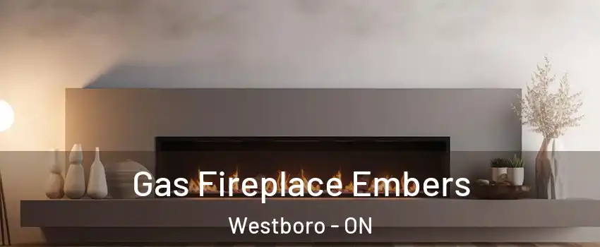  Gas Fireplace Embers Westboro - ON