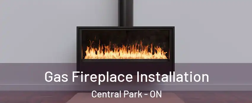  Gas Fireplace Installation Central Park - ON