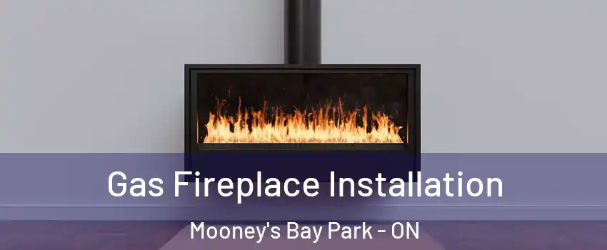  Gas Fireplace Installation Mooney's Bay Park - ON