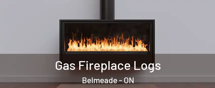  Gas Fireplace Logs Belmeade - ON