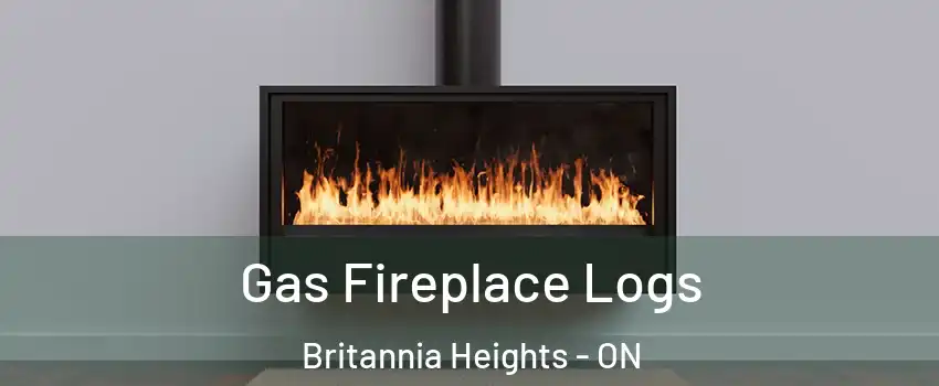  Gas Fireplace Logs Britannia Heights - ON