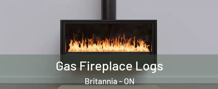  Gas Fireplace Logs Britannia - ON