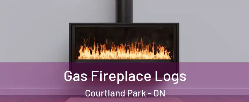  Gas Fireplace Logs Courtland Park - ON