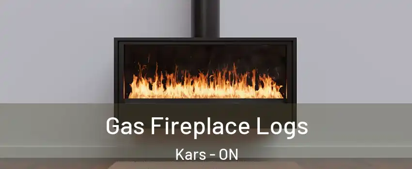  Gas Fireplace Logs Kars - ON