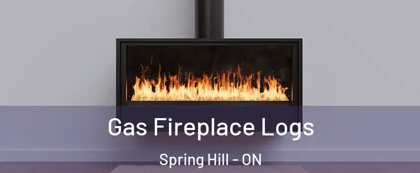  Gas Fireplace Logs Spring Hill - ON