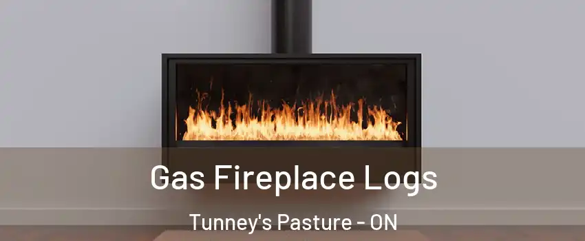  Gas Fireplace Logs Tunney's Pasture - ON