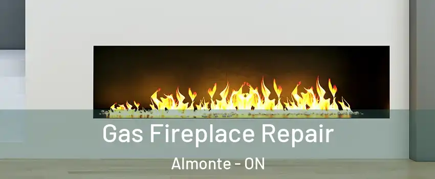  Gas Fireplace Repair Almonte - ON