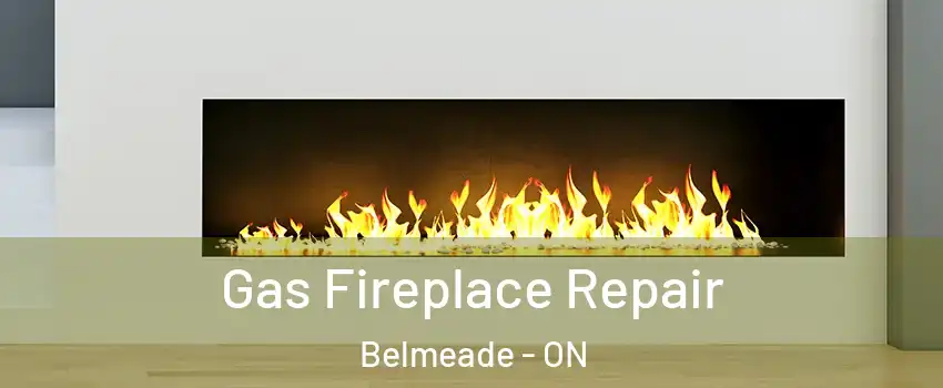  Gas Fireplace Repair Belmeade - ON