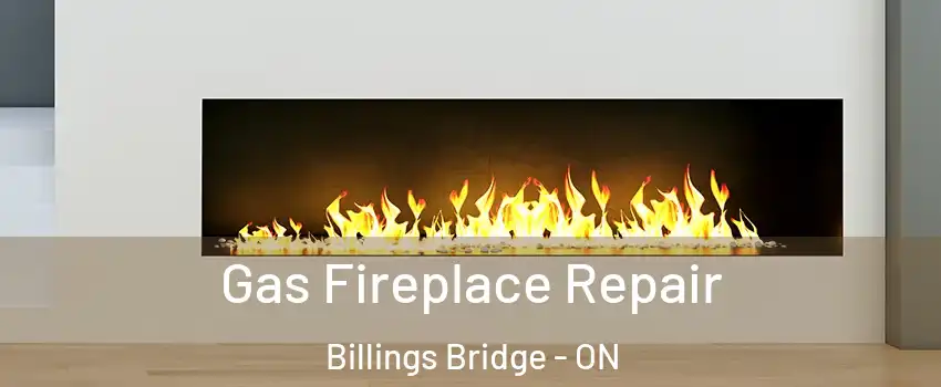  Gas Fireplace Repair Billings Bridge - ON