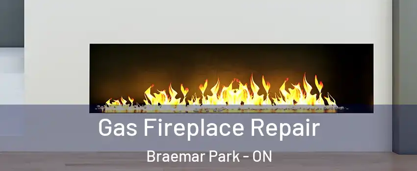  Gas Fireplace Repair Braemar Park - ON