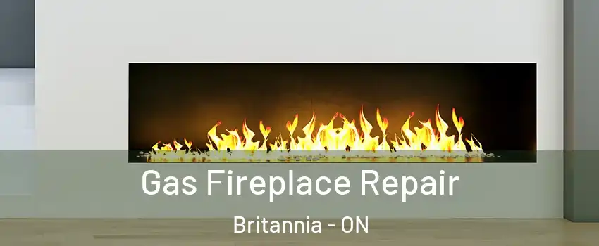  Gas Fireplace Repair Britannia - ON