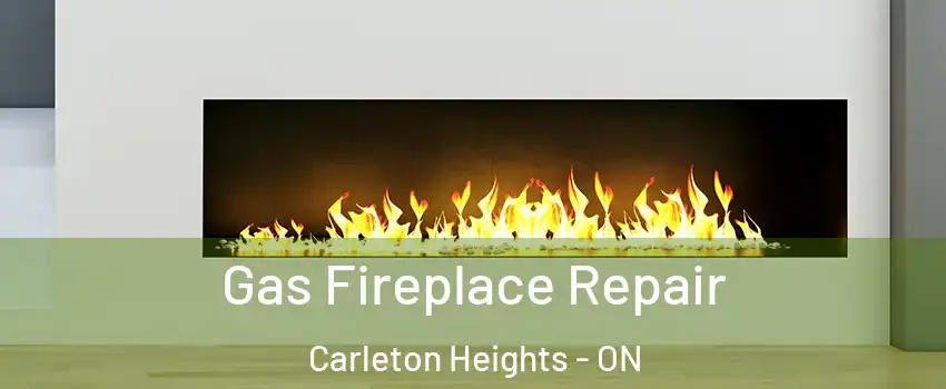  Gas Fireplace Repair Carleton Heights - ON