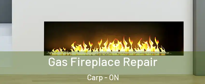  Gas Fireplace Repair Carp - ON