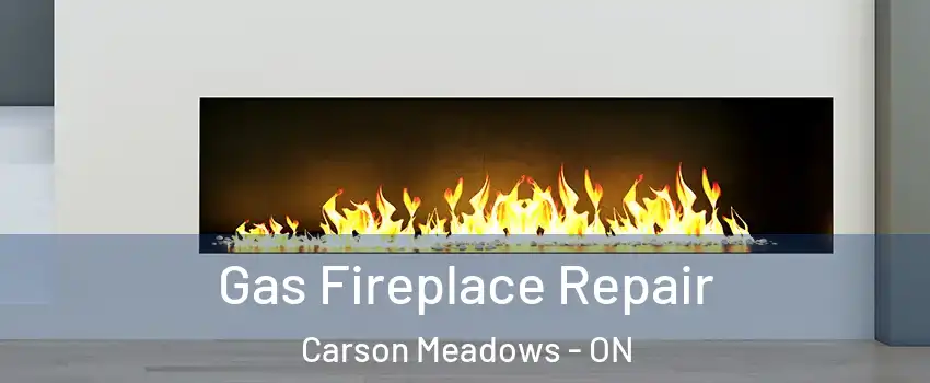  Gas Fireplace Repair Carson Meadows - ON