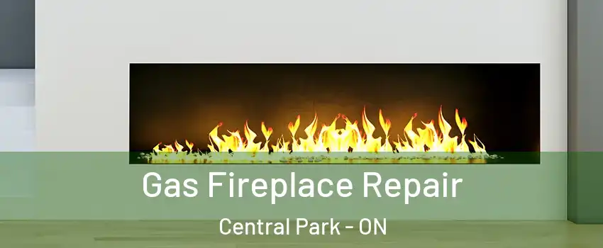  Gas Fireplace Repair Central Park - ON