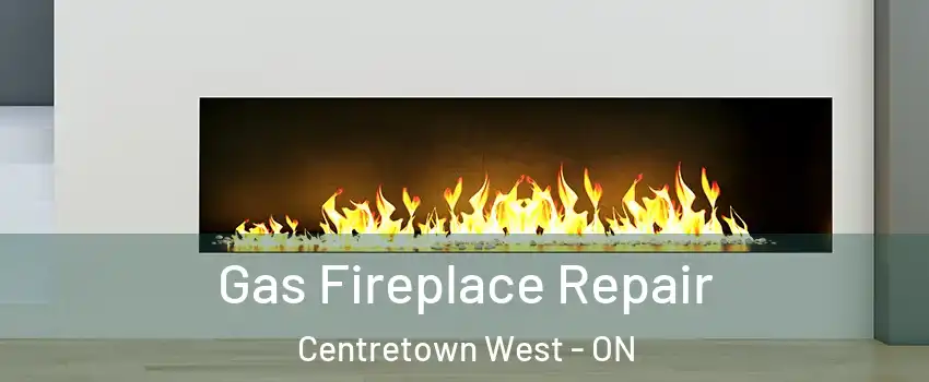  Gas Fireplace Repair Centretown West - ON