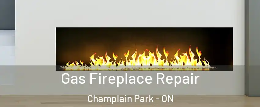  Gas Fireplace Repair Champlain Park - ON