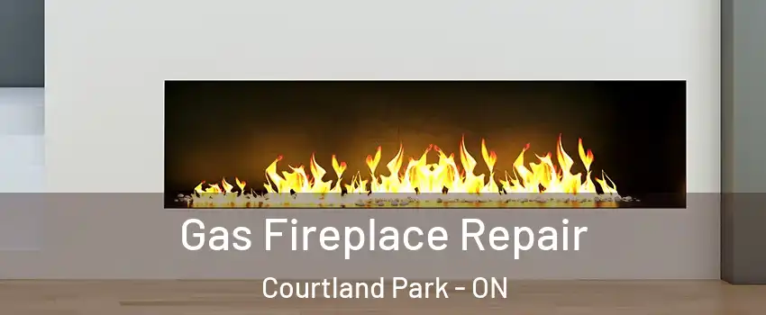  Gas Fireplace Repair Courtland Park - ON