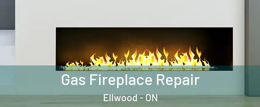  Gas Fireplace Repair Ellwood - ON