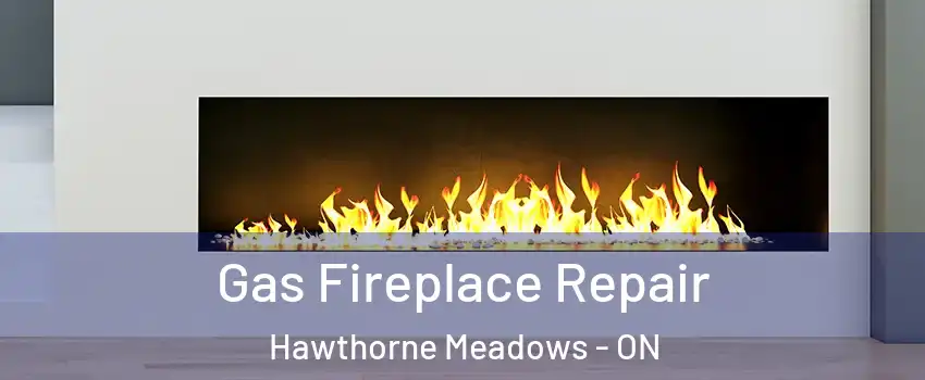  Gas Fireplace Repair Hawthorne Meadows - ON